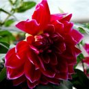 백련스파 이미지