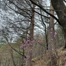 오대산비로봉식당 | 강릉 여행 후기 #8 - 오대산 소금강 계곡 등산 트래킹 맛보기