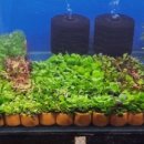 엔젤아쿠아펫가든 이미지