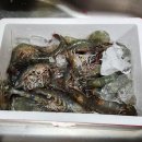 2대째무진장수산