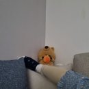 뽑기방스 이미지