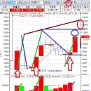 (주)새론바이오 이미지