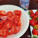 민박바당집 이미지