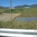 곡성-157 이미지