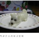 다 - 중랑구 | 다