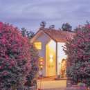 제주포인트투어 이미지