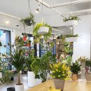 부천 맥스웰의원 이미지