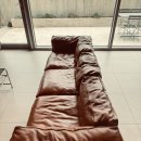 스테이 숲 이미지