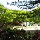 함허동천 야영장 이미지