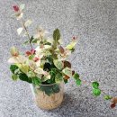 김창희공인중개사사무소 이미지