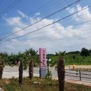 그날의 온도 이미지