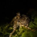 남해-224 이미지