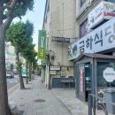 24-5/29-수 금하식당-아침밥 도당공원-백만송이장미원 도당산둘레길-산책 부천천문과학관 떡3팩-저녁밥 이미지