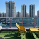 마이달링독 이미지