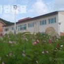 사랑의마을요양원