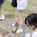 호주공인중개사사무소 이미지