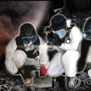 동중농장 이미지