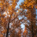 풀내음근린공원 이미지