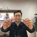 안경나누기 이미지