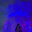 대신카프라자 | 강원도 가족여행 대관령눈꽃축제 양떼목장 모나용평 발왕산 케이블카 후기