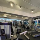 팀 보노 이미지