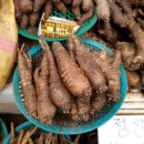 초리상회 이미지