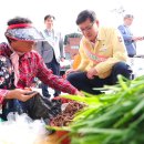 함양토종약초 이미지