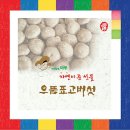 버섯마루 이미지