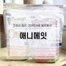 나누리펫 | 기호성 좋은 기관지 헤어볼 고양이 사료 블루베이 애니메잇