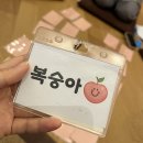 심동 ''마음을 나누는 춤'' | 혼자가서 힐링하고 온 정토회 청년페스타 후기 🕉