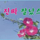 모란동백...라이브 하모니카연주/김강철수 이미지