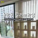 광주왁싱 슈가링 릴리브 이미지