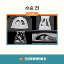 원곡동물병원 네이버블로그