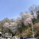 판암근린공원 이미지