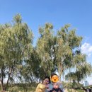 평화목장2 이미지