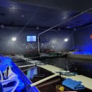 미췬물고기 이미지