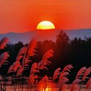 아름다운 인생[人生]의 노을이고 싶다 이미지