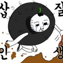 투어펠리스