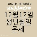 ♧ 12월 12일 월요일 간추린 아침뉴스 ♧ 이미지