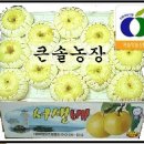 큰솔농장 네이버블로그
