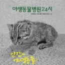 《야생동물병원 24시》/전북대학교 수의과대학 야생동물의학실 지음/책공장더불어 2013 이미지