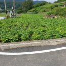 남해-309 이미지