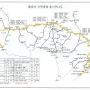1397 이미지