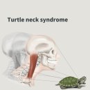 경희참사랑한의원 이미지