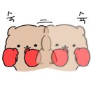 안산제일복싱 이미지