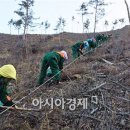 곡성-187 이미지