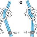 하강기 Daum카페