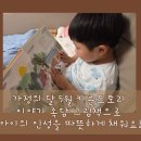 가정의 달 5월, 키큰도토리 이야기 속담 그림책으로 아이의 인성을 따뜻하게 채워요!