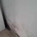 KCC 스위첸 | 🔮경주황성동 KCC스위첸 입주청소 후기🔮