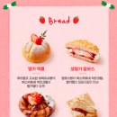 파리바게트강릉